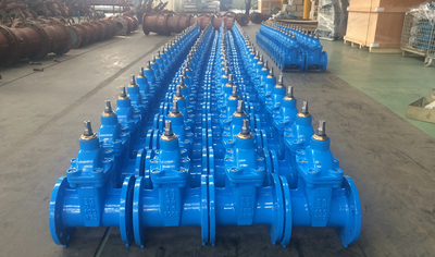 Chine Fengbao Valve Manufacturing Co., Ltd.