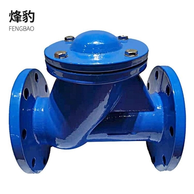Clapet anti-retour de fer malléable de DIN3202 F6 pour le tamis de la canalisation d'égout 300mm PN10 Y