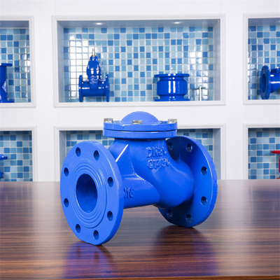 La fonte DN100 a bridé le traitement de l'eau du clapet anti-retour d'oscillation PN250 GGG50