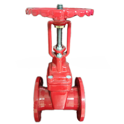 Pn10 DN20 Flanche de siège élastique en fer fonte soupape de porte à cheville montante