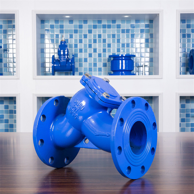 Le type malléable le filtre Pn16 de la fonte Y DIN de tamis a bridé eau potable bleue