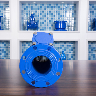 Type malléable de la bride Y de fonte valve de filtre de tamis pour la ligne de flottaison Dn150